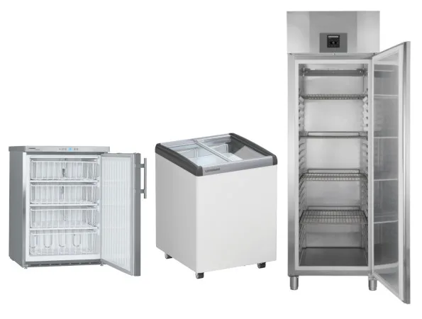 Gastronomie gefriergeraete gefrierschraenke Gefrierschrank