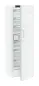 Preview: fnc 5277 froster liebherr