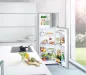Preview: liebherr ctele 2531 kuehl gefrier automat