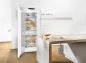 Preview: Liebherr GN 5275 Premium NoFrost Gefrierschrank