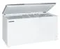 Preview: Liebherr GTL 6106 Tiefkühltruhe für Gewerbe online kaufen