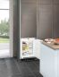 Preview: Liebherr IG 1024 Comfort Integrierbarer Einbaugefrierschrank mit SmartFrost