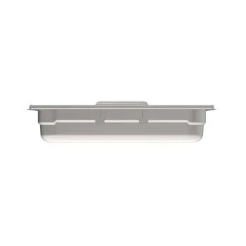 Rieber GN Behälter 2/8 065 - Fallgriffe