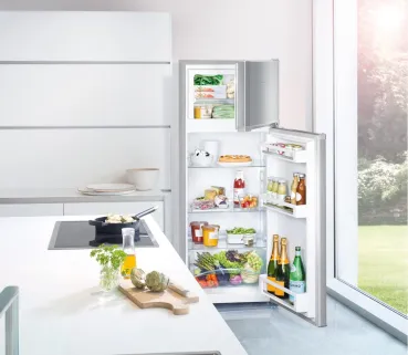 Liebherr CTel 2531 Kühl-Gefrierkombination mit Gefrierteil oben und SmartFrost