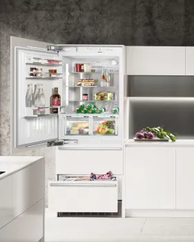 Liebherr ECBN 5066 PremiumPlus BioFresh NoFrost mit Linksanschlag