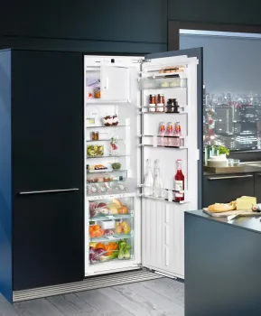 Liebherr IKBP 3564 Einbau Kühlschrank
