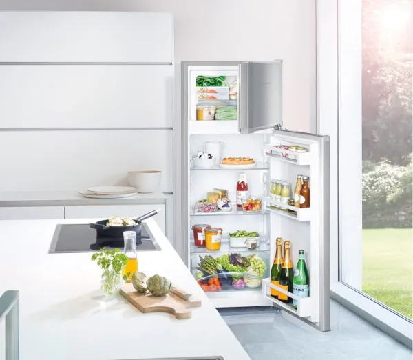Liebherr CTel 2531 Kühl-Gefrierkombination mit Gefrierteil oben und SmartFrost