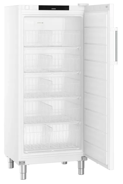 liebherr fffsg 5501 gastro kuehlschrank