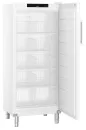 Liebherr FFFsg 5501 Gastro Gefrierschrank SmartFrost