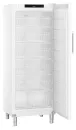 Liebherr FFFsg 6501 Gastro Gefrierschrank mit SmartFrost