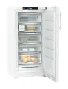 liebherr fnc 6675 gefrierschrank