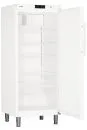 Liebherr GKv 5730 Kühlschrank mit Umluftkühlung