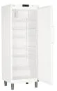 Liebherr GKv 6410 GN 2/1 Gastrokühlschrank mit Umluftkühlung